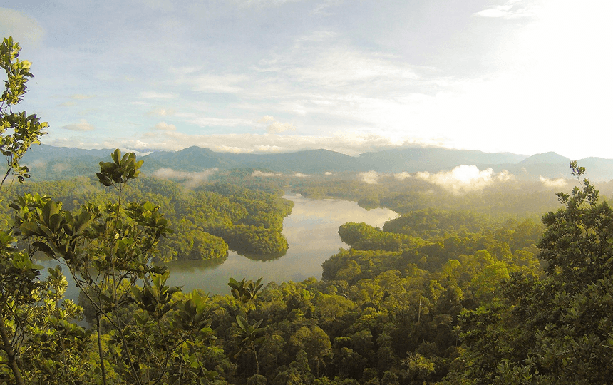 Scaling Conservation with Blockchain: Meet PlanetaryX
